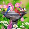 Birds Bath Painting By Number