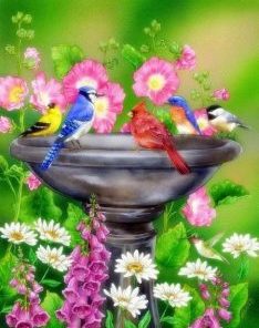 Birds Bath Painting By Number