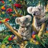 Birds & Koalas Painting By Number