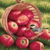 Birds On Apple Basket Painting By Number