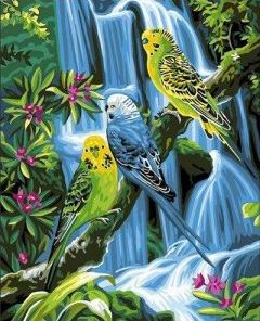 Birds On Jungle Painting By Number