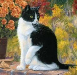 Black And White Cat Painting By Number