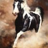 Black And White Horse Painting By Number