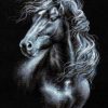 Black And White Horse Painting By Number