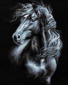 Black And White Horse Painting By Number