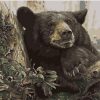 Black Bear In Forest Painting By Number