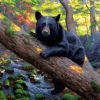 Black Bear Painting By Number