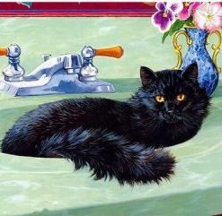 Black Cat In A Bath Painting By Number