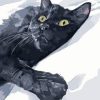 Black Cat In Snow Painting By Number