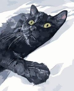 Black Cat In Snow Painting By Number