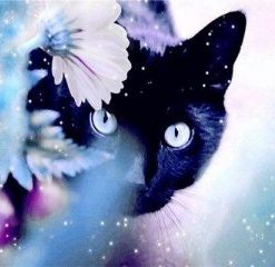 Black Cat In The Flowers Painting By Number