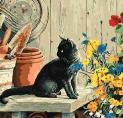 Black Cat On Table Painting By Number