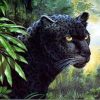 Black Leopard Painting By Number