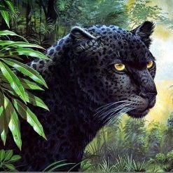 Black Leopard Painting By Number