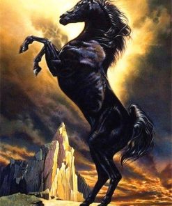 Black Arabian Horse Painting By Number