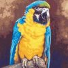 Blue And Gold Macaw Painting By Number