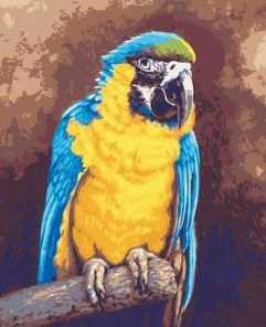 Blue And Gold Macaw Painting By Number