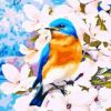 Blue Birds Flower Painting By Number