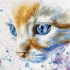 Blue Eyes Cat Painting By Number