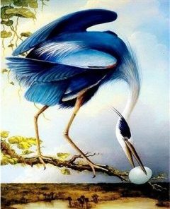 Blue Heron Painting By Number