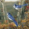 Blue Jay On Tree Painting By Number