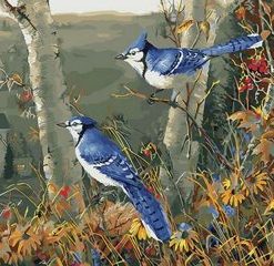 Blue Jay On Tree Painting By Number