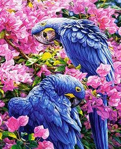 Bougainvillea Parrots Painting By Number