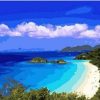 Caribbean Beach Painting By Number