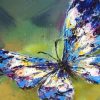 Colorful Butterfly Painting By Number