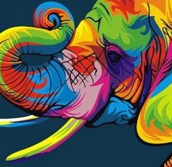 Colorful Elephant Painting By Number