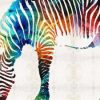 Colorful Zebra Painting By Number