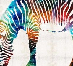 Colorful Zebra Painting By Number