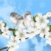 Cute Birds With Flowers Painting By Number