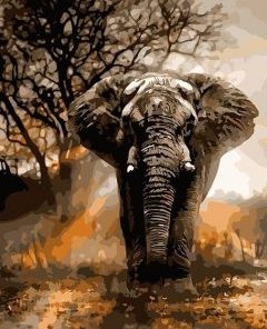 African Elephant Painting By Number