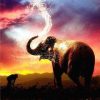 Elephant Sunset Painting By Number