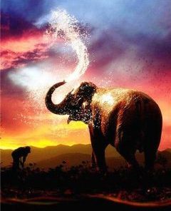 Elephant Sunset Painting By Number