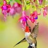 Flowers With Hummingbird Painting By Number