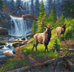 Forest Deer Painting By Number