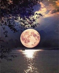 Full Moon On Lake Painting By Number