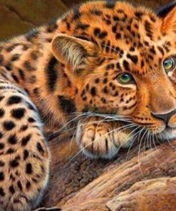 Green Eyes Cheetah paint by numbers