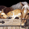 Horse And Cat Painting By Number