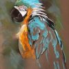 Parrot Art Painting By Number