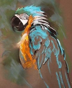 Parrot Art Painting By Number