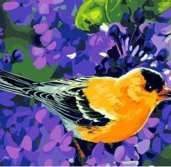 Pretty Songbirds Painting By Number