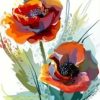 Red Anemone Painting By Number