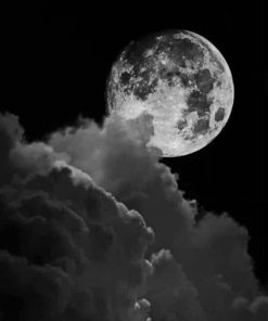 Black And White Full Moon paint by numbers