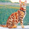 Bengal Cat paint by numbers