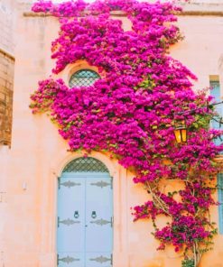 Floral Medina Gate paint by numbers