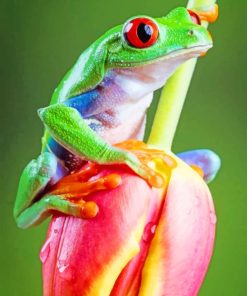 Frog On Tulip Flower paint by numbers