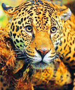 Jaguar paint by numbers